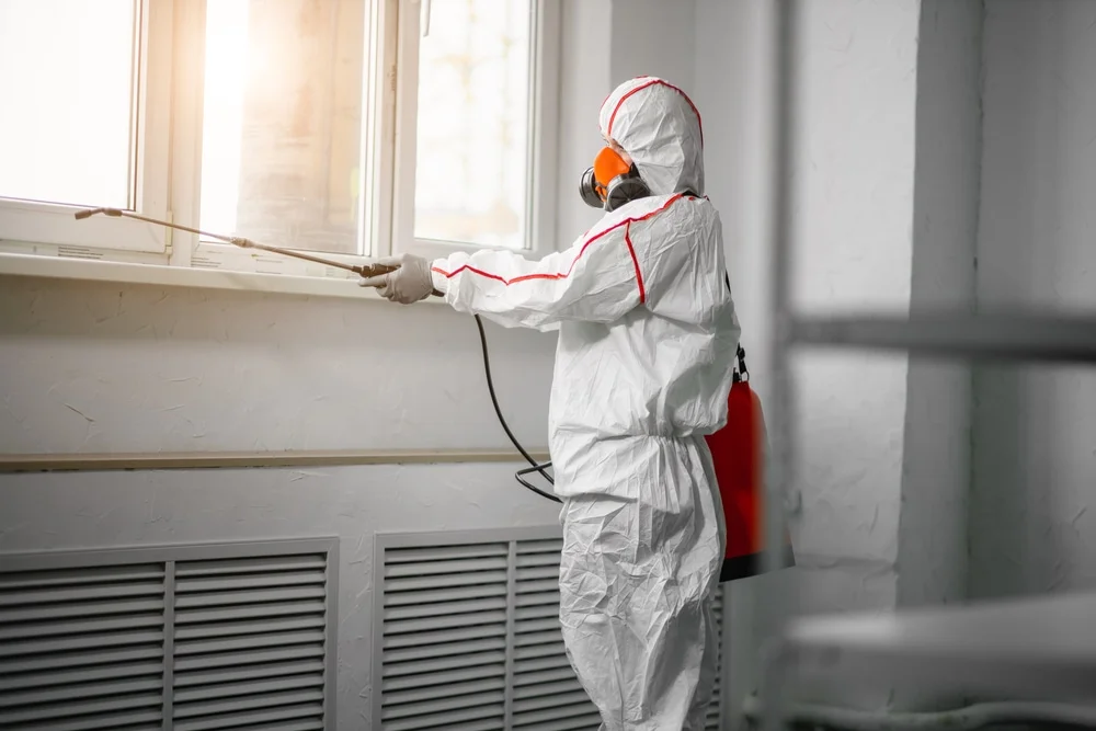 Professional mold remediation services in River Forest, IL